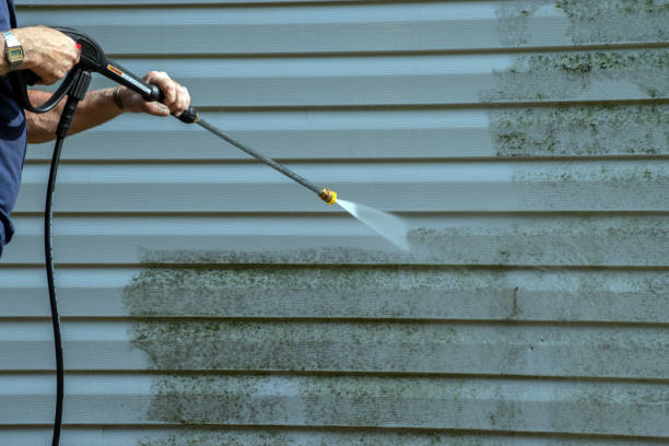 Best Sidewalk and Walkway Cleaning  in Lexington Park, MD