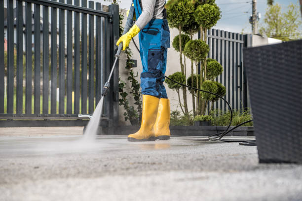 Best Sidewalk and Walkway Cleaning  in Lexington Park, MD